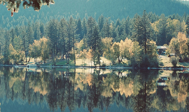 MacLeese Lake, BC