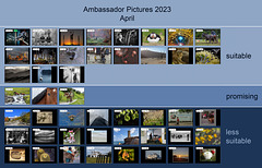 Ambassador Pictures 2023, April