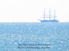 Dar Mlodziezy on the horizon beyond Seaford Bay 6 6 2023