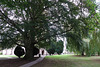 Monmouth Priory Gardens