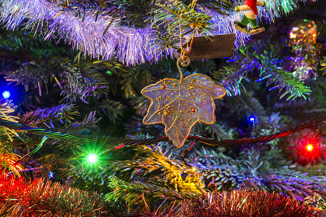 Christmas Tree 31-Dec-2015 05