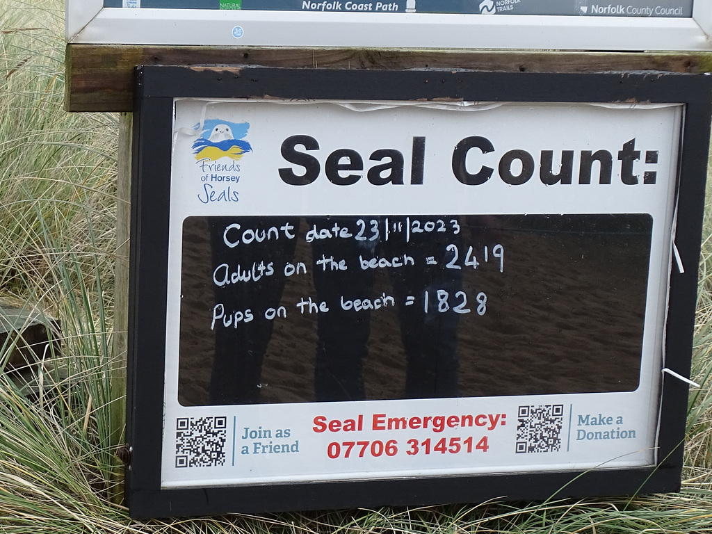 Horsey seal count notice