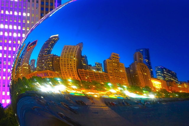Reflections of the Bean