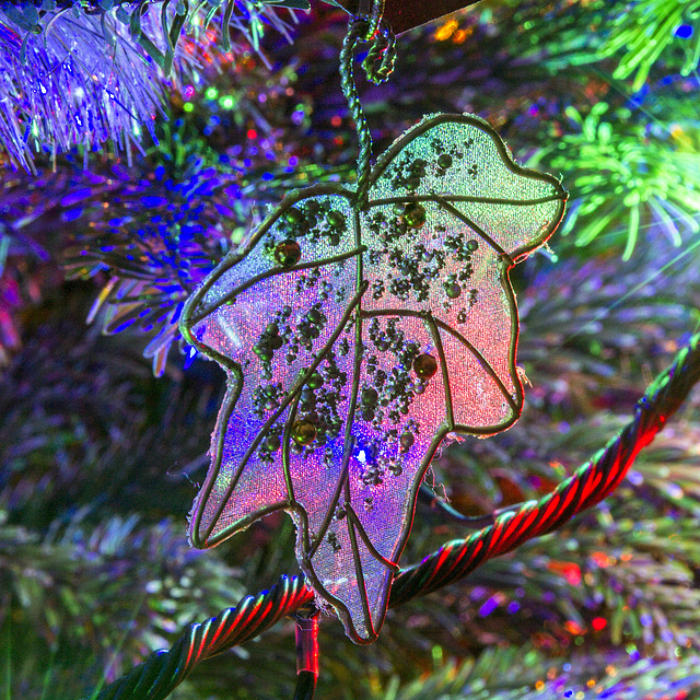 Christmas Tree 31-Dec-2015 11