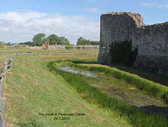 The moat at Pevensey Castle 24 7 2013