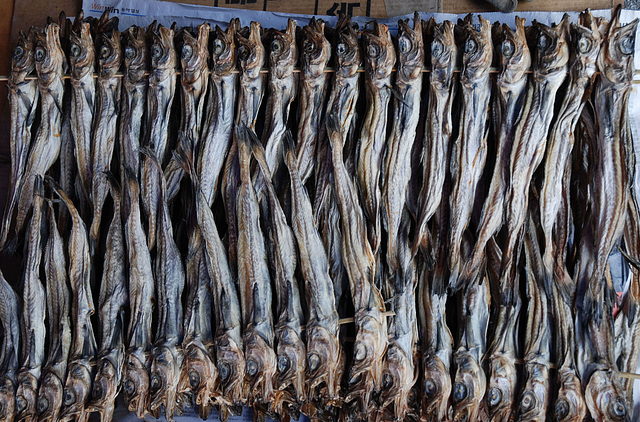 Unterwegs in Südkorea: Fisch getrocknet