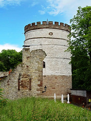 Burg Plesse bei Göttingen,  Bergfried