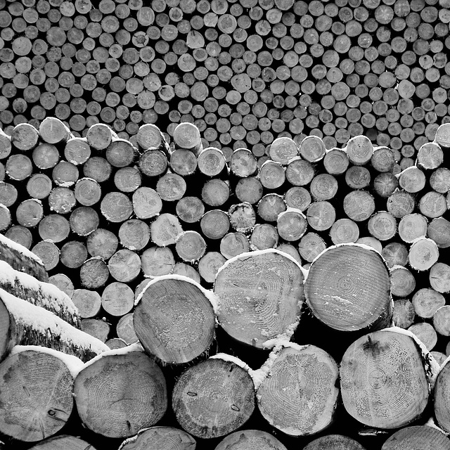 Pile of logs - Holzstapel