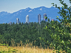 Vancouver 072019 Deer lake park + Burnaby lake park + Stoney P7210008