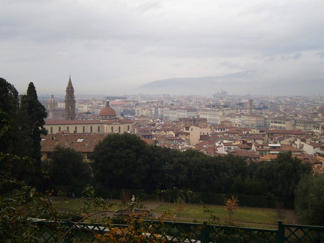 Towering view over Florence.
