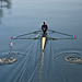 the lonely sculler III
