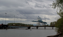 Portland port (#0480)