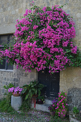 The Flower Bed upon the Door in the Old Town of Rhodes