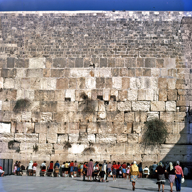 The Western wall, more known as the Wailing wall. (2 PIP)