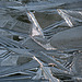 Ice crystals - early morning