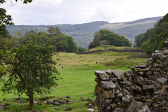 Fell view