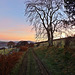 Dawn on a Cumbrian lane
