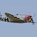 P-47D Thunderbolt 'Nellie' (a)