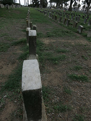 Veterans Section In Angelus Rosedale Cemetery (1965)