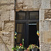 The Window in the Old Town of Rhodes
