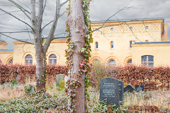 Jüdischer Friedhof Berlin- Weißensee