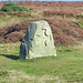 Marker on the moor
