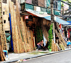 Vietnam 2016 / Hanoi 1xPiP  Bamboo Variations