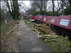 British Waterways tree felling