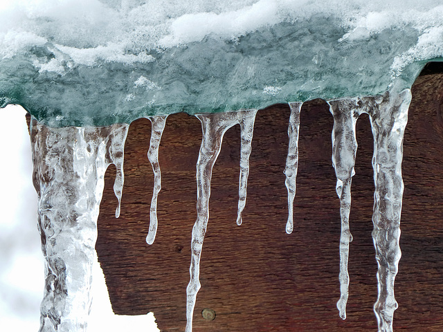 A beautiful sign of winter