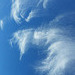 mares' tails