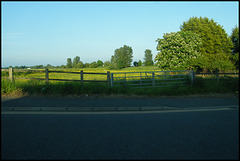 a field near Manchester