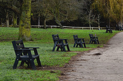 Benches by the river bank