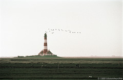 Ofenheizung im Leuchtturm? Nein, Der Leuchtturmwärter hat seine Tauben aufgelassen. (1999)
