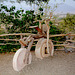 Israel, Eilat, Wooden Bike in the Botanical Garden