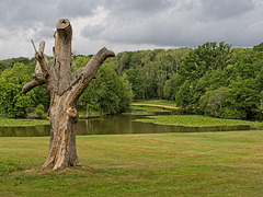 Staunton Country Park, Havant, Hampshire (+PiP)