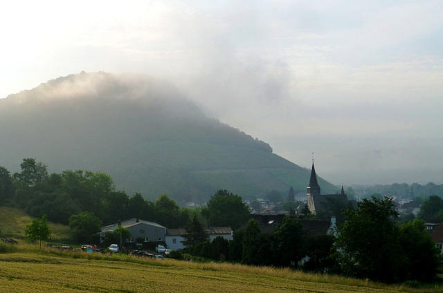 DE - Heppingen - Misty morning