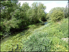 Seacourt Stream at Botley