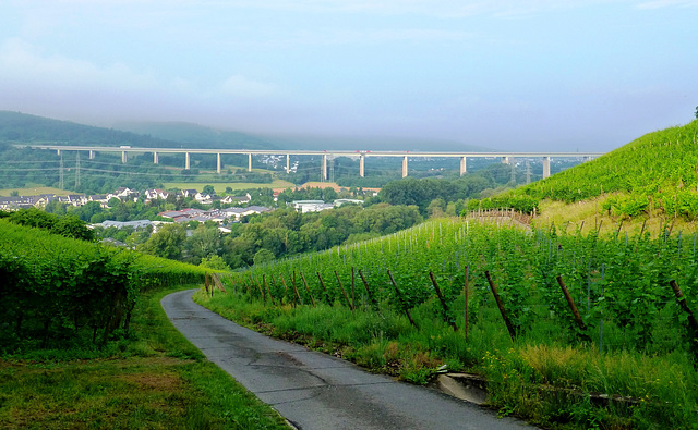 DE - Heimersheim - Ahrtal bridge, seen from the vineyards