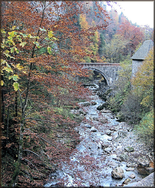Saint-Laurent-du-Pont (38) Vallée du Guiers-Mort  14 octobre 2008.