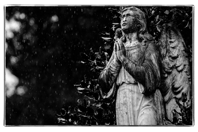 Praying Angel in the Rain