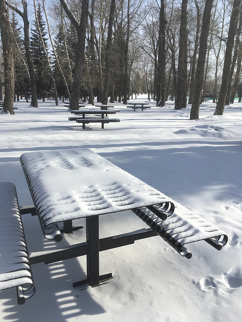 Available picnic tables
