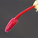 Schlumbergera bloom detail