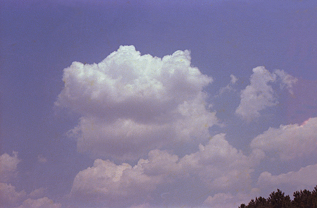 A Cloud In The Sky