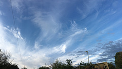 Whispy Clouds