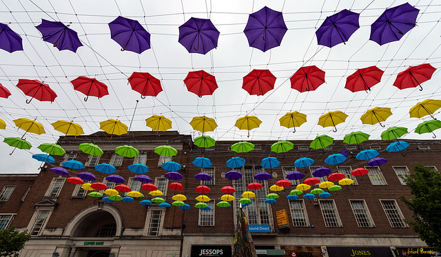 Exeter Umbrellas (2*PiP)
