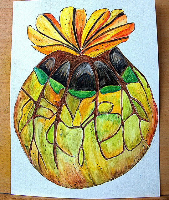 Poppy Seedhead. Watercolour