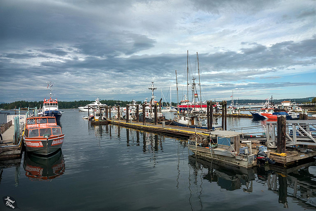 Nanaimo Harbor (+8 insets!)