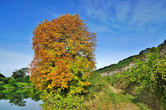 Herbstfarben -Colours of autumn