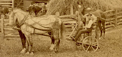 Horses, Cows, and Plows (Detail 3)