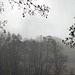 Morgens nebelverhangen in Eisenach